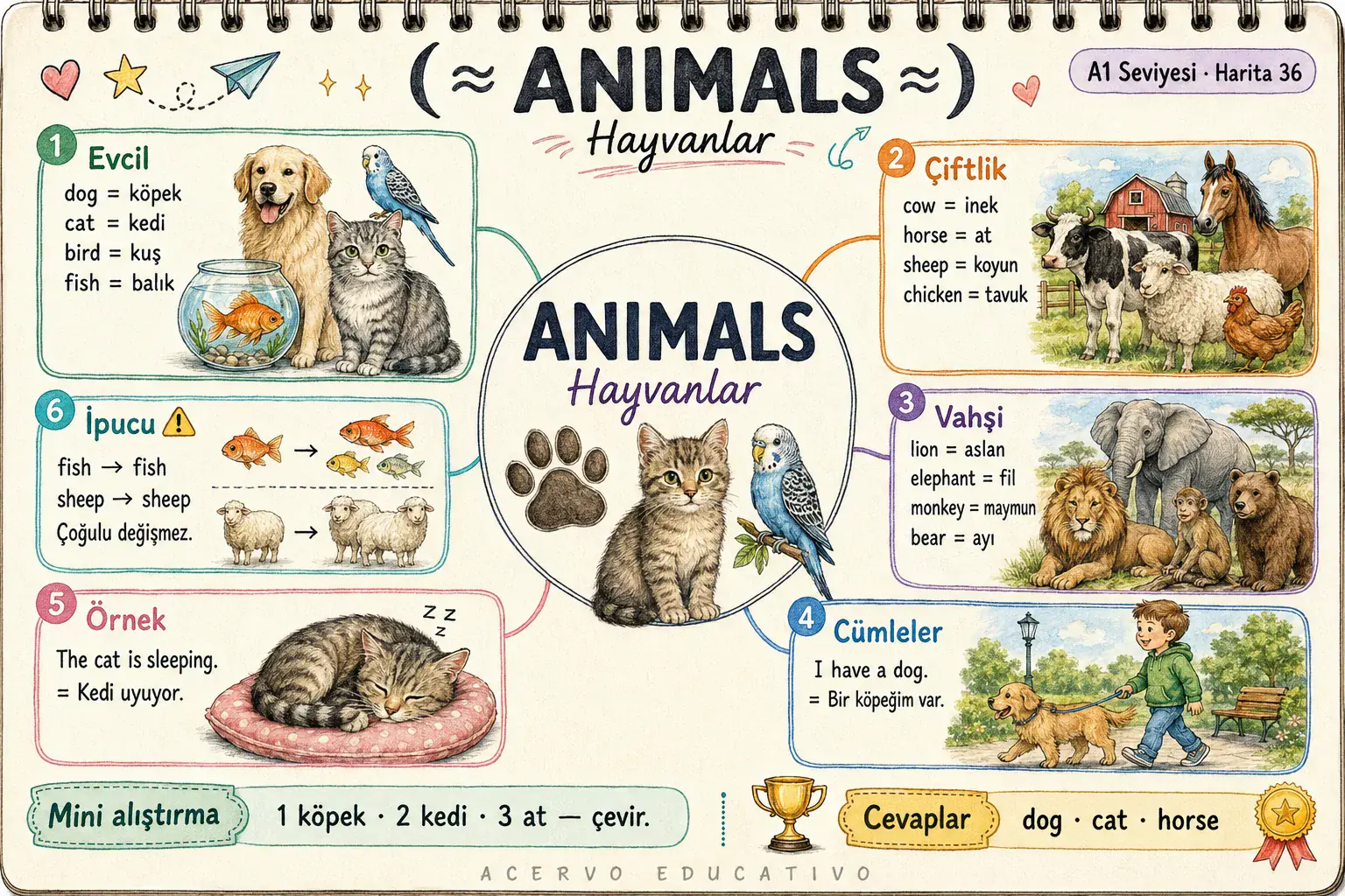 Zihin haritası — Animals · Hayvanlar (A1)
